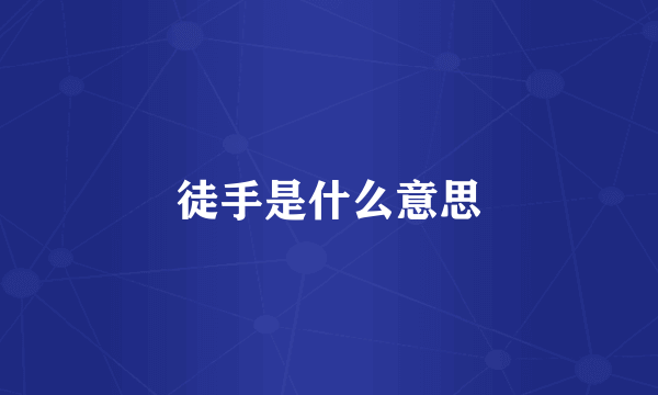徒手是什么意思