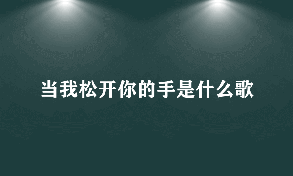 当我松开你的手是什么歌