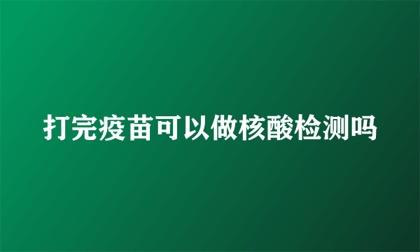 打完疫苗可以做核酸检测吗