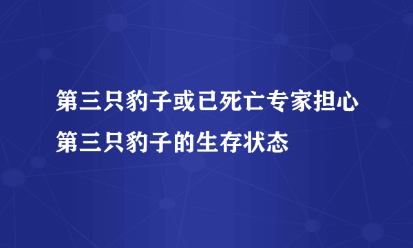 第三只豹子或已死亡专家担心第三只豹子的生存状态
