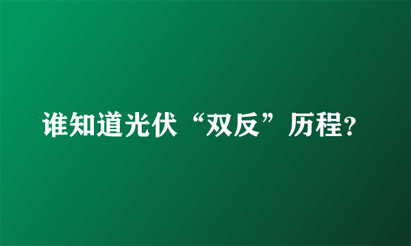 谁知道光伏“双反”历程？