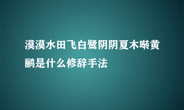 漠漠水田飞白鹭阴阴夏木啭黄鹂是什么修辞手法