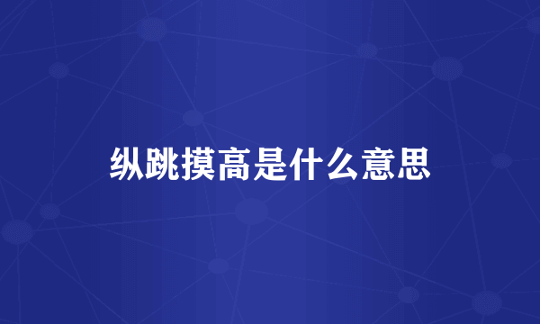 纵跳摸高是什么意思