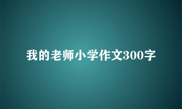 我的老师小学作文300字