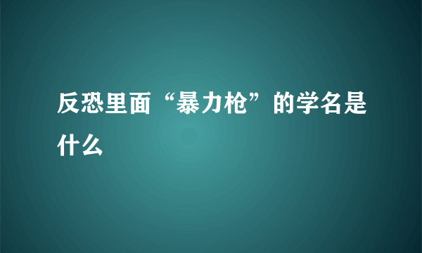 反恐里面“暴力枪”的学名是什么