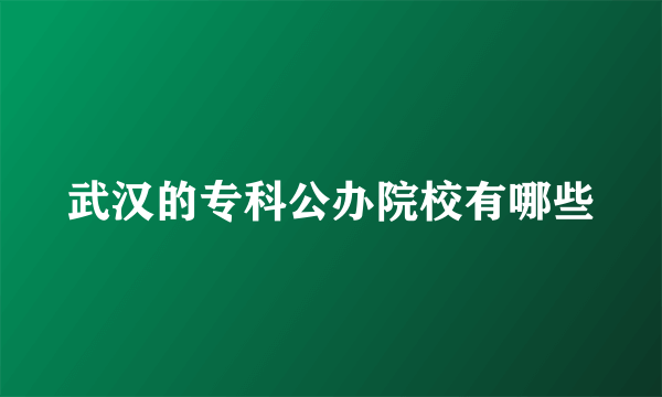 武汉的专科公办院校有哪些