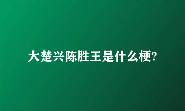 大楚兴陈胜王是什么梗?