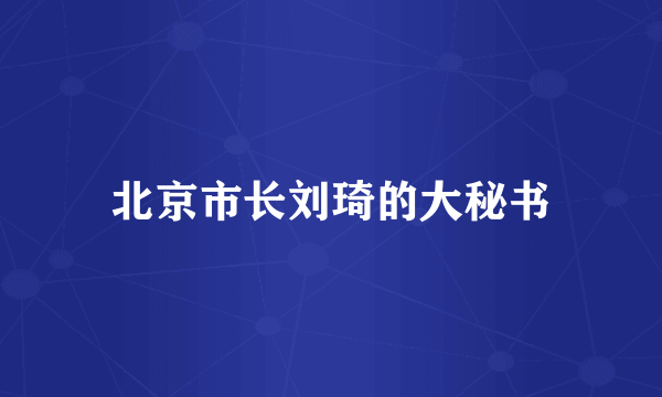 北京市长刘琦的大秘书