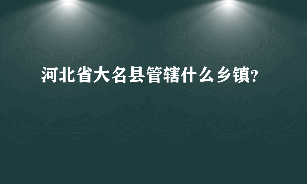河北省大名县管辖什么乡镇？