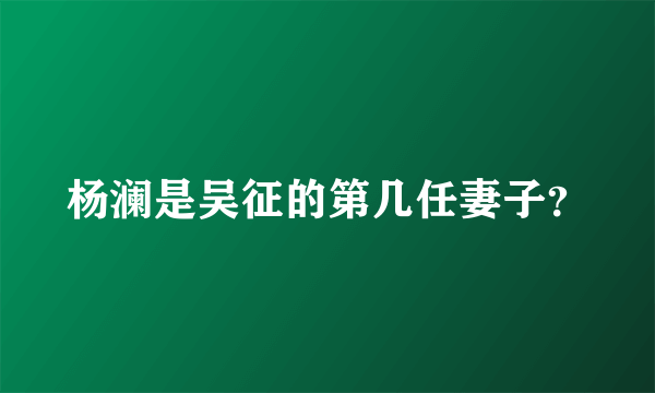 杨澜是吴征的第几任妻子？