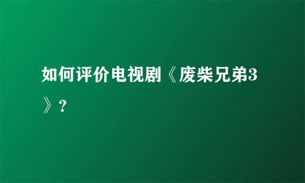 如何评价电视剧《废柴兄弟3》？