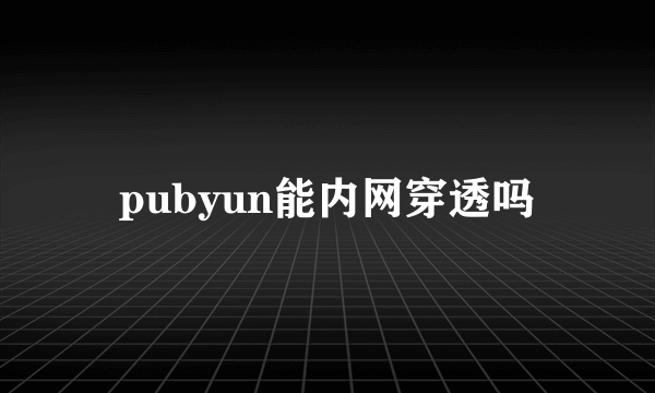 pubyun能内网穿透吗