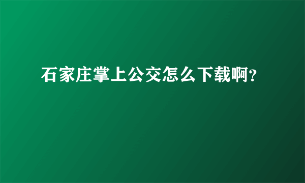 石家庄掌上公交怎么下载啊？