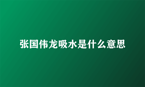 张国伟龙吸水是什么意思