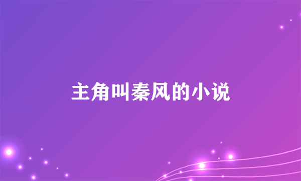 主角叫秦风的小说