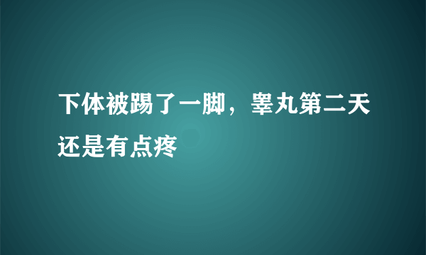 下体被踢了一脚，睾丸第二天还是有点疼