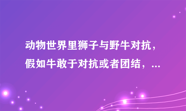 动物世界里狮子与野牛对抗，假如牛敢于对抗或者团结，狮子能赢吗？
