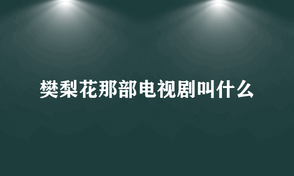 樊梨花那部电视剧叫什么