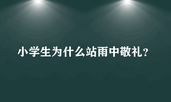 小学生为什么站雨中敬礼？