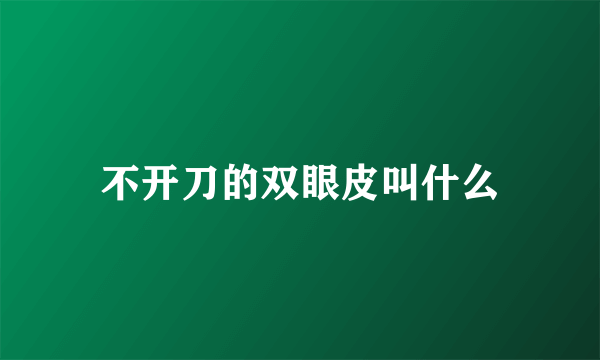 不开刀的双眼皮叫什么