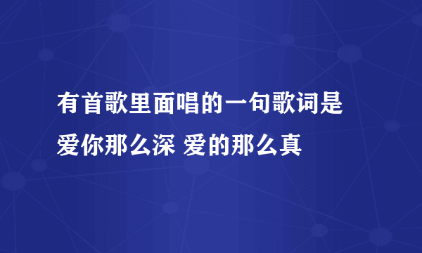 有首歌里面唱的一句歌词是 爱你那么深 爱的那么真
