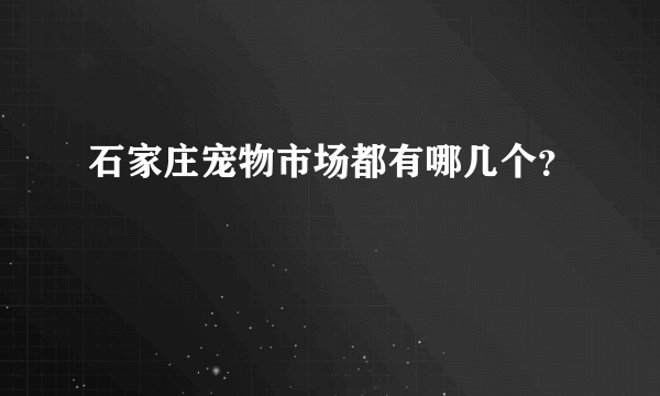 石家庄宠物市场都有哪几个？