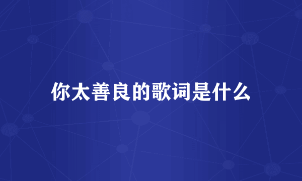 你太善良的歌词是什么