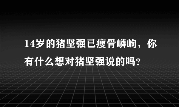 14岁的猪坚强已瘦骨嶙峋，你有什么想对猪坚强说的吗？