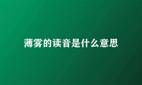 薄雾的读音是什么意思