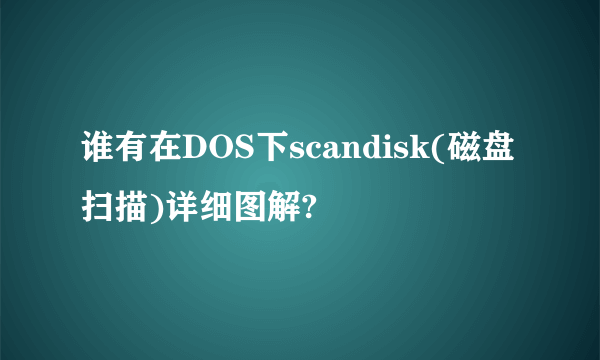 谁有在DOS下scandisk(磁盘扫描)详细图解?