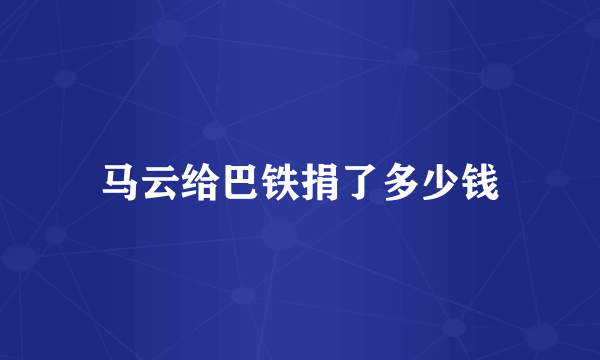 马云给巴铁捐了多少钱