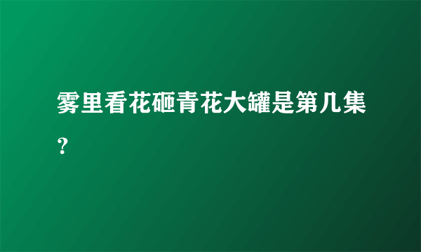 雾里看花砸青花大罐是第几集？
