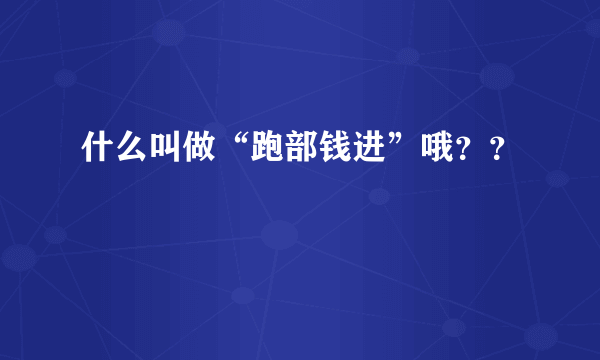 什么叫做“跑部钱进”哦？？