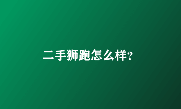 二手狮跑怎么样？
