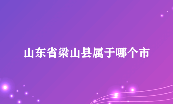 山东省梁山县属于哪个市