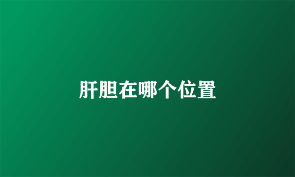 肝胆在哪个位置