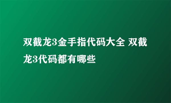 双截龙3金手指代码大全 双截龙3代码都有哪些