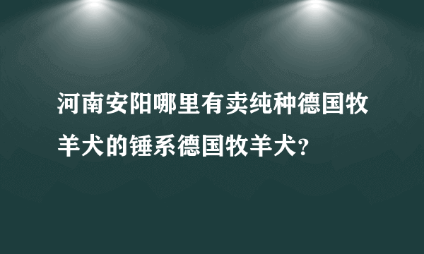 河南安阳哪里有卖纯种德国牧羊犬的锤系德国牧羊犬？