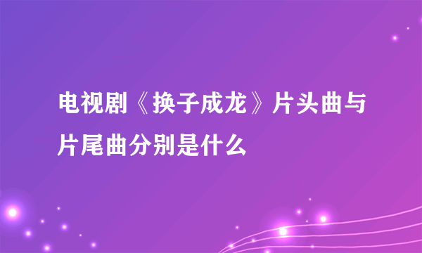 电视剧《换子成龙》片头曲与片尾曲分别是什么