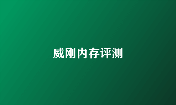 威刚内存评测
