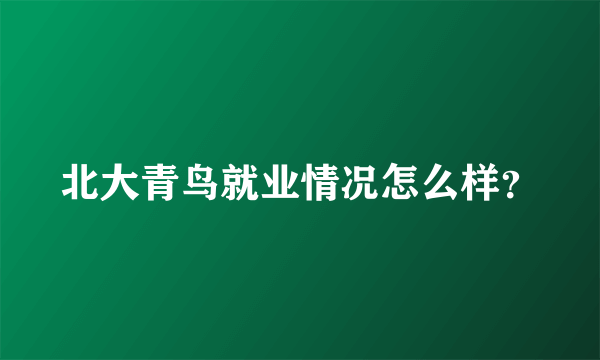 北大青鸟就业情况怎么样？