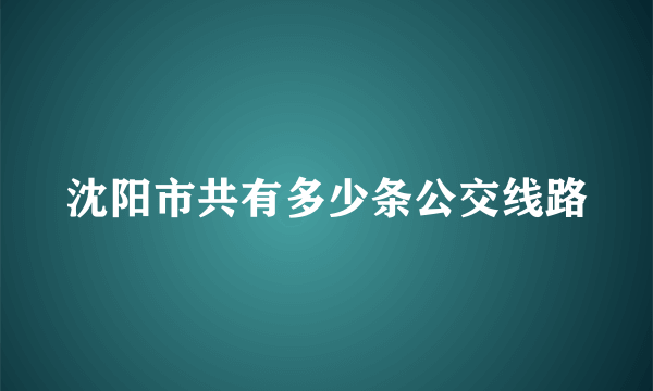 沈阳市共有多少条公交线路