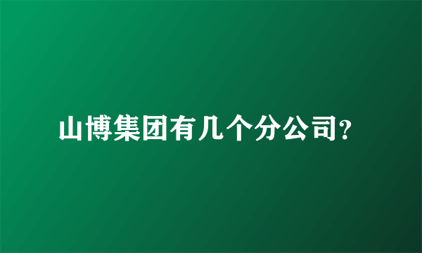 山博集团有几个分公司？