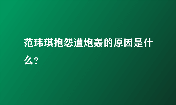 范玮琪抱怨遭炮轰的原因是什么？