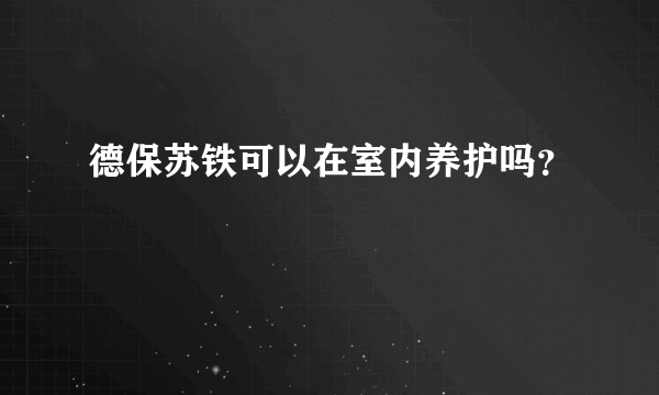 德保苏铁可以在室内养护吗？