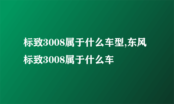 标致3008属于什么车型,东风标致3008属于什么车