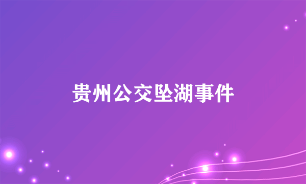 贵州公交坠湖事件