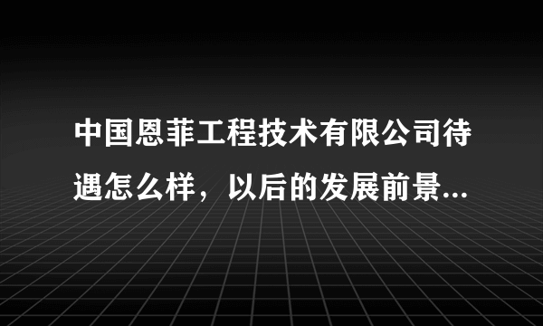 中国恩菲工程技术有限公司待遇怎么样，以后的发展前景如何呢？