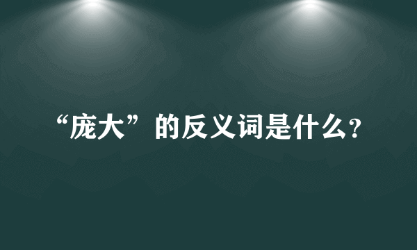 “庞大”的反义词是什么？