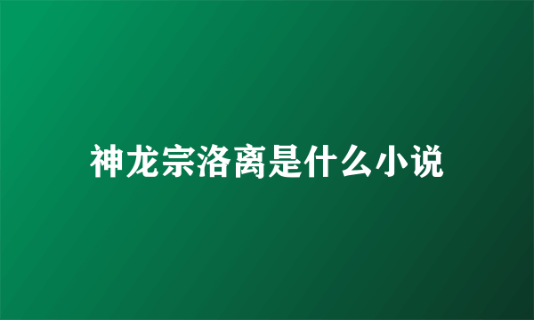 神龙宗洛离是什么小说